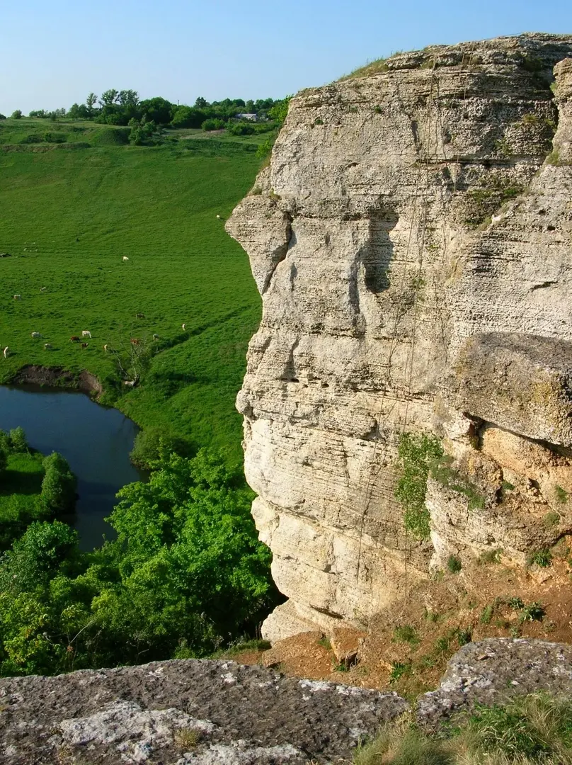 Заглушка