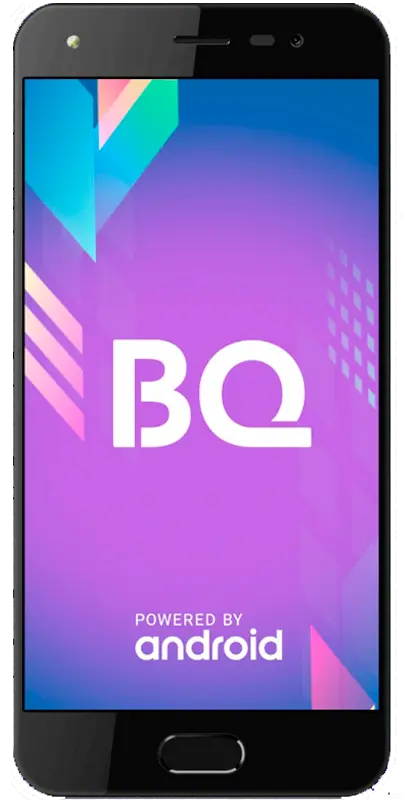 Bq